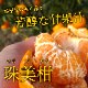 �ھ����ֹ棹�����ۤ�����ꤪ�ߤ���̼�Ȣ-���ڤ��ߤ���-����Ȣ������ʡ��󣲣����