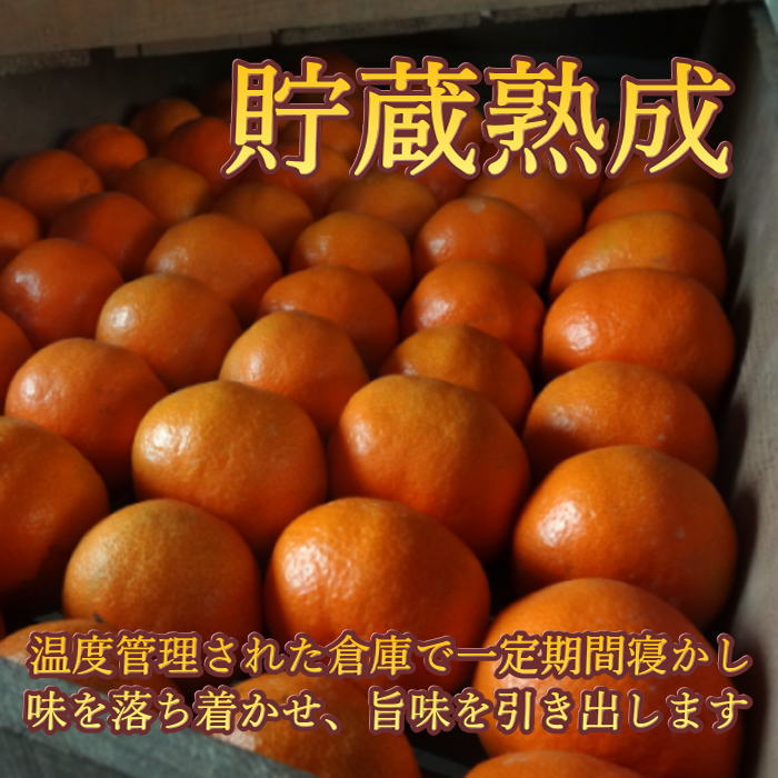 �ھ����ֹ棱�����۽���̣�������β���Ȣ����ˡ��ͥ������������ץ�ߥ��ࡡ��������
