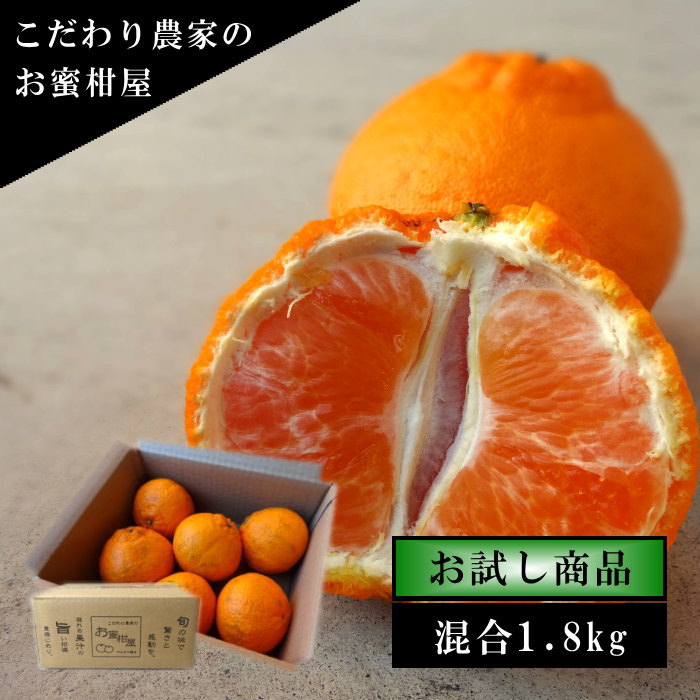 �ھ����ֹ棴�����۴Žϥǥ�����Ȣ��������ʡ��󣱡��������