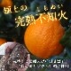 �ھ����ֹ棴�����۴Žϥǥ�����Ȣ��������ʡ��󣱡��������