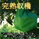 �ھ����ֹ棴�����۴Žϥǥ�����Ȣ��������ʡ��󣱡��������