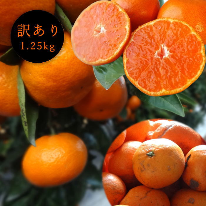 �ھ����ֹ棱������̪�Ĵݡ����������硡�������ʡ��󣱡����������
