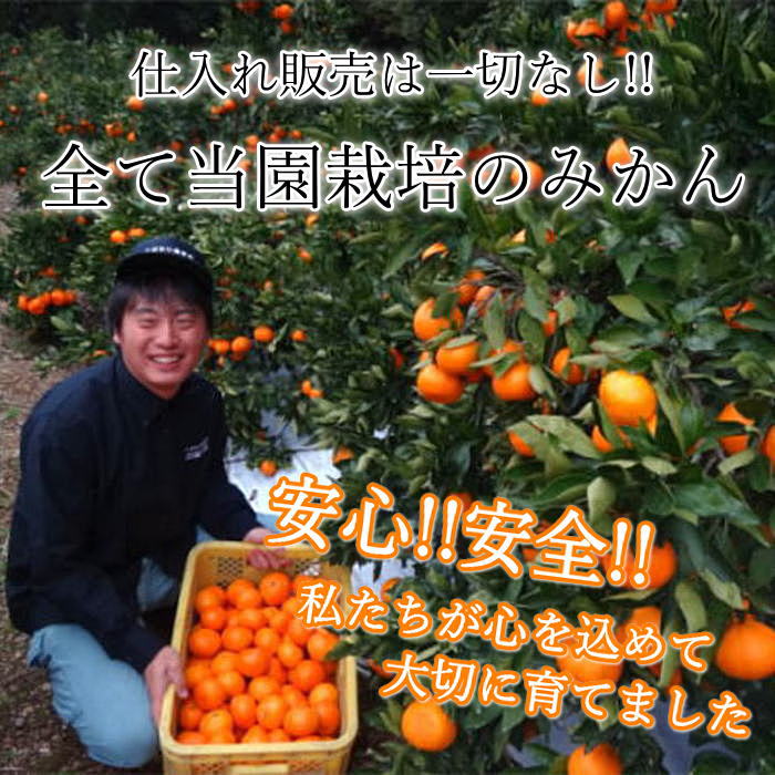 �ھ����ֹ棱������̪�Ĵݡ����������硡�������ʡ��󣱡����������