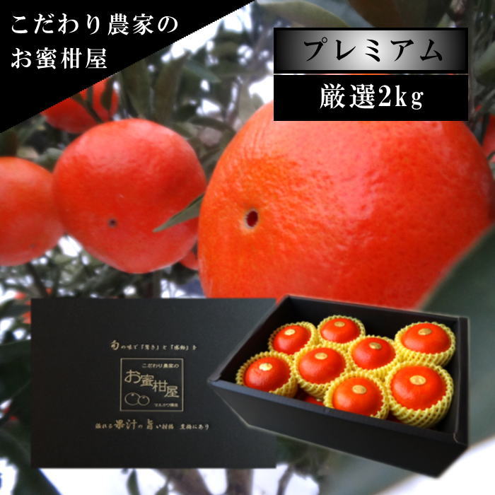�ھ����ֹ棲�����۹ȥ����䡡���β���Ȣ����ˡ����������ޤ����������ץ�ߥ��ࡡ�󣲣����