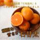 �ھ����ֹ棵�������д��������β���Ȣ���ͥ������������ץ�ߥ��ࡡ��������