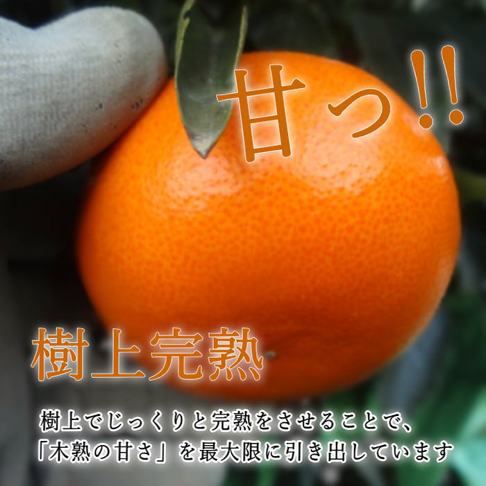 �ھ����ֹ棴�������ڽϤ��Ȥ��ȴŽϥǥ��εͤ��碌������ʡ����������硡�󣱡������