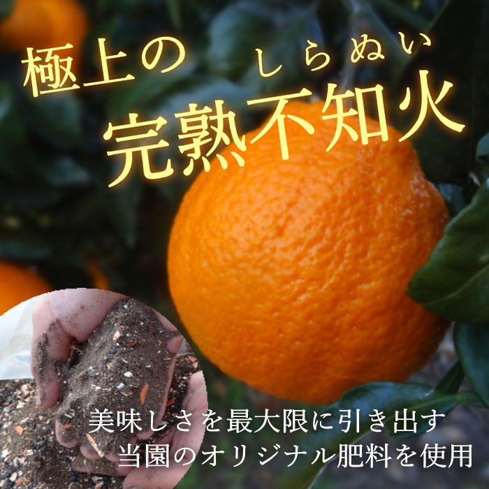 �ھ����ֹ棴�������ڽϤ��Ȥ��ȴŽϥǥ��εͤ��碌������ʡ����������硡�󣱡������