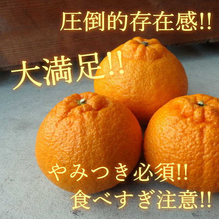 �ھ����ֹ棴�������ڽϤ��Ȥ��ȴŽϥǥ��εͤ��碌������ʡ����������硡�󣱡������
