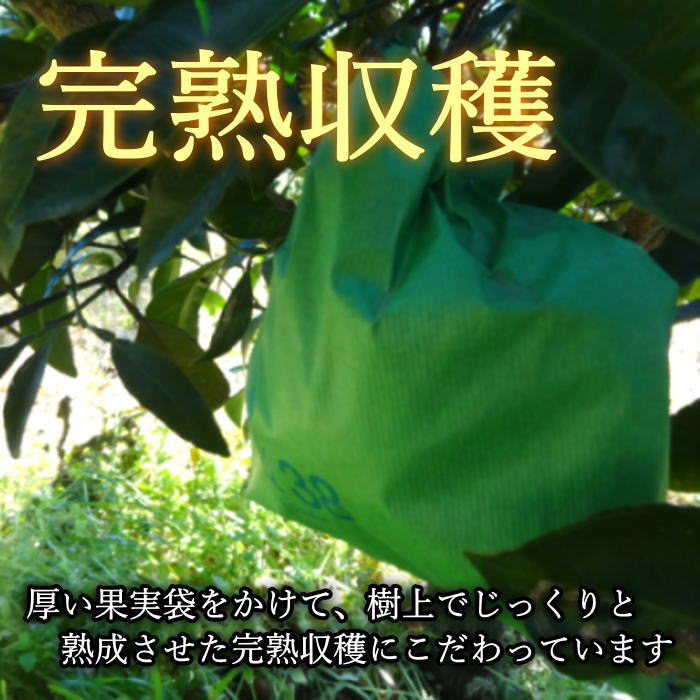�ھ����ֹ棴�������ڽϤ��Ȥ��ȴŽϥǥ��εͤ��碌������ʡ����������硡�󣱡������