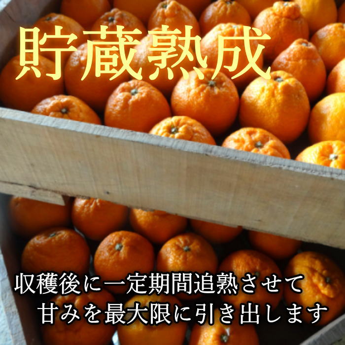 �ھ����ֹ棴�������ڽϤ��Ȥ��ȴŽϥǥ��εͤ��碌������ʡ����������硡�󣱡������