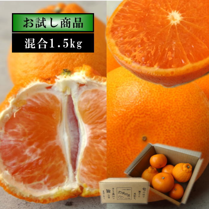 �ھ����ֹ棴�������ڽϤ��Ȥ��ȴŽϥǥ��εͤ��碌������ʡ����������硡�󣱡������
