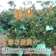 �ھ����ֹ棴�������ڽϤ��Ȥ��ȴŽϥǥ��εͤ��碌������ʡ����������硡�󣱡������