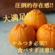 �ھ����ֹ棴�������ڽϤ��Ȥ��ȴŽϥǥ��εͤ��碌������ʡ����������硡�󣱡������