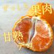 �ھ����ֹ棴�������ڽϤ��Ȥ��ȴŽϥǥ��εͤ��碌������ʡ����������硡�󣱡������