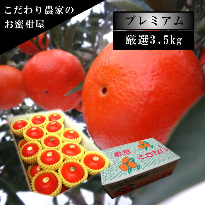 �ھ����ֹ棲�����۹ȥ����䡡�쥮��顼Ȣ�����������ޤ����������ץ�ߥ��ࡡ�󣳡��������