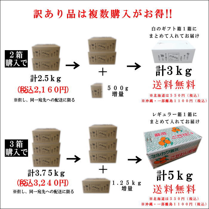 �ھ����ֹ棵�������д�������Ȣ�����������硡�������ʡ��󣱡����������