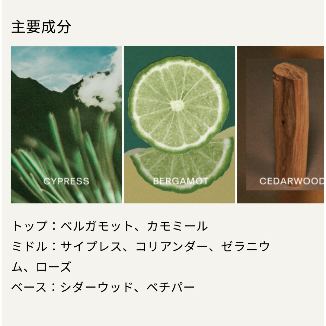 BAUM  1 ���åɥ��� ������ �����ǥ����� �Х��� ���ȥޥ����� �̤���� ��ʬ�� �ץ쥼��� ��� 