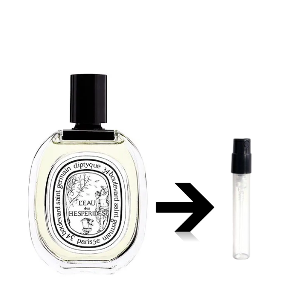 �����ɥȥ�� ������ �����ڥ꡼�� �ǥ��ץƥ��å� diptyque L' Eau des Hesperides ���ȥޥ����� �̤���� �ߥ� ���