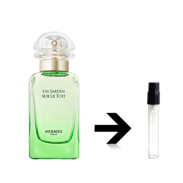 ᥹ ξ EDTHERMES   ȥޥ ᥹