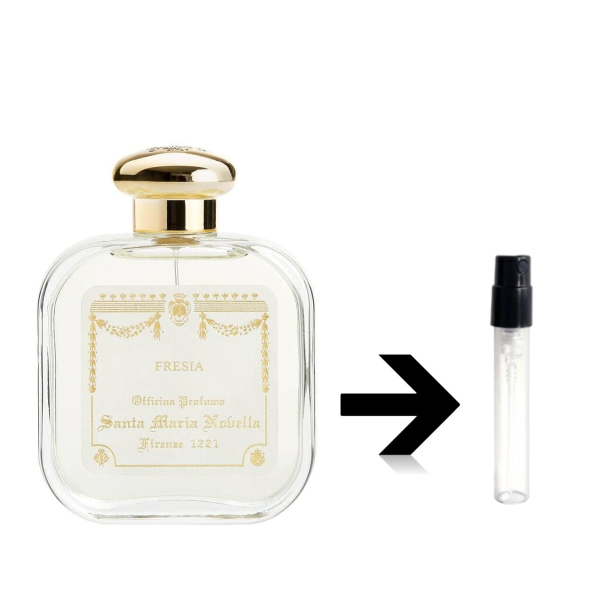 ե꡼ ǥ󡡥󥿡ޥꥢΥå顡ȥޥ    ͵ ߥ  󥿥ޥꥢΥå