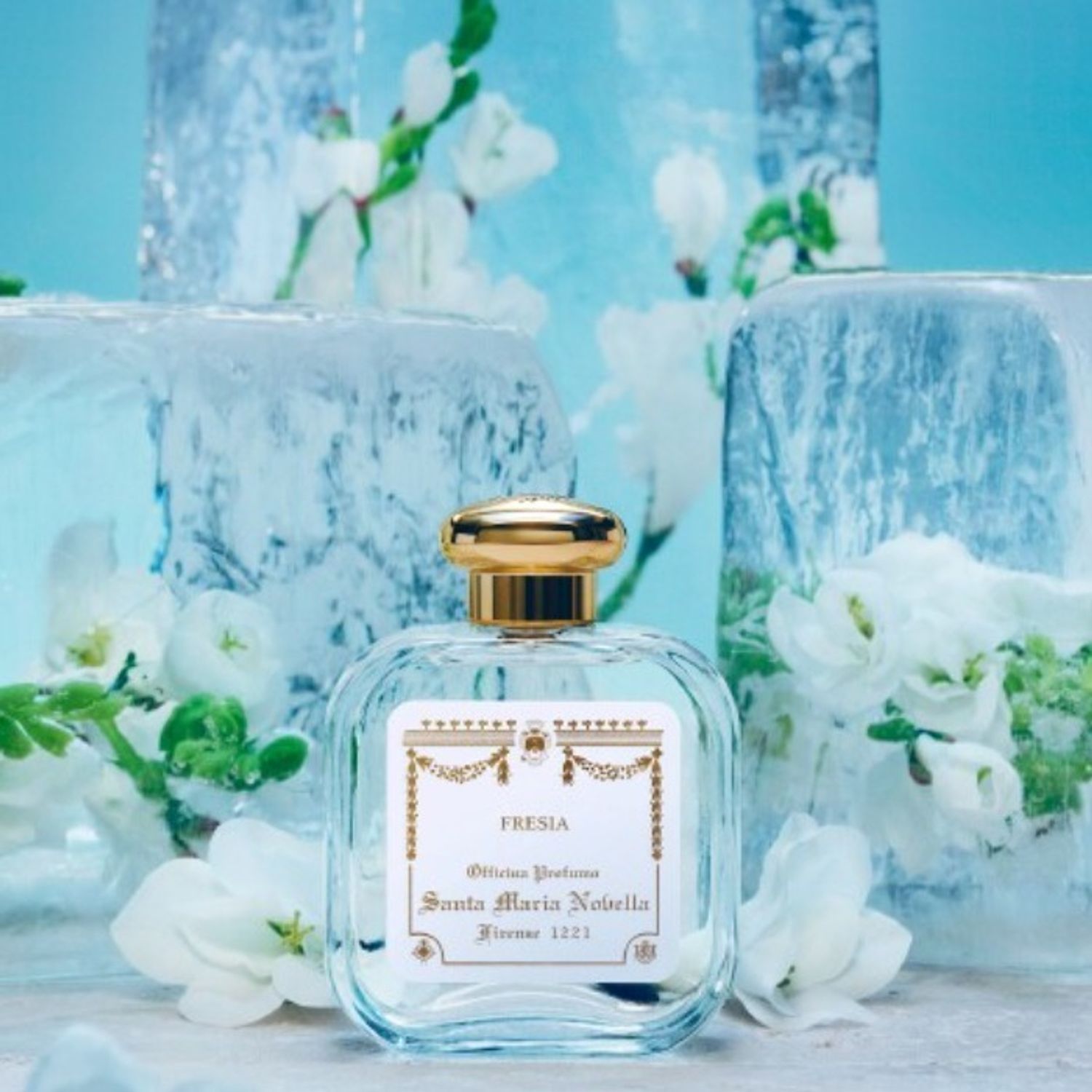 ե꡼ ǥ󡡥󥿡ޥꥢΥå顡ȥޥ    ͵ ߥ  󥿥ޥꥢΥå