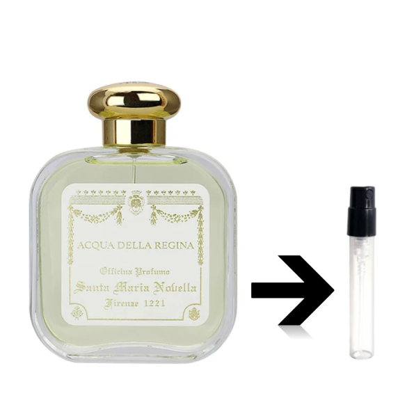 ���å������ǥå顦�쥸���� �����ǥ����� �����󥿡��ޥꥢ���Υ����å顡���ޤο� ���ȥޥ����� ��� ��� ��� �͵� �ߥ�  ���󥿥ޥꥢ�Υ����å�