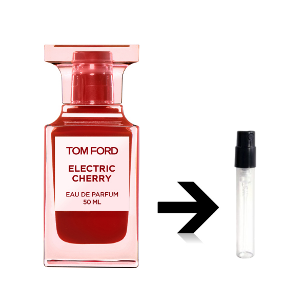 쥯ȥå ꡼  ѥե TOM FORD ȥե  ȥޥ ̤ ʬ ץ쥼  ȥե