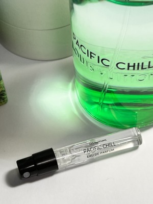 ѥեå  ɥѥե 륤ȥ LOUIS VUITTON   ȥޥ ̤ ʬ ץ쥼 