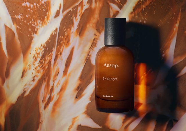 ����Υ� �����ɥѥ�ե���  �����å� Aesop   ���ȥޥ����� �̤���� ��ʬ�� �ץ쥼��� ��� �����å�