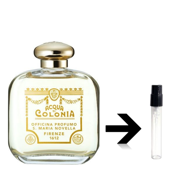 ���󥿥ޥꥢ�Υ����å� ���٤룳�ܥ��åȡ� ��1.5ml ���åȳ䡪   ���ȥޥ���������� �̤���� ��ʬ�� ���󥿥ޥꥢ�Υ����å�