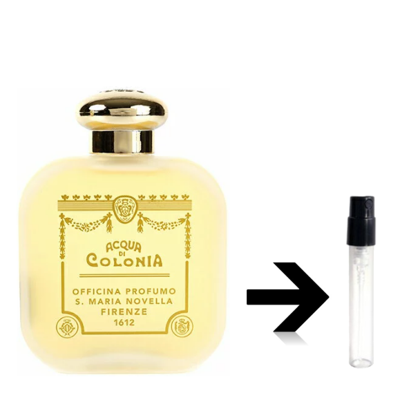 ���󥿥ޥꥢ�Υ����å� ���٤룳�ܥ��åȡ� ��1.5ml ���åȳ䡪   ���ȥޥ���������� �̤���� ��ʬ�� ���󥿥ޥꥢ�Υ����å�