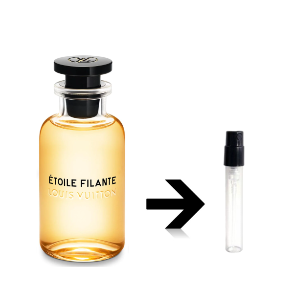 ȥ롦ե ɥѥե 륤ȥ LOUIS VUITTON   ȥޥ ̤ ʬ ץ쥼 