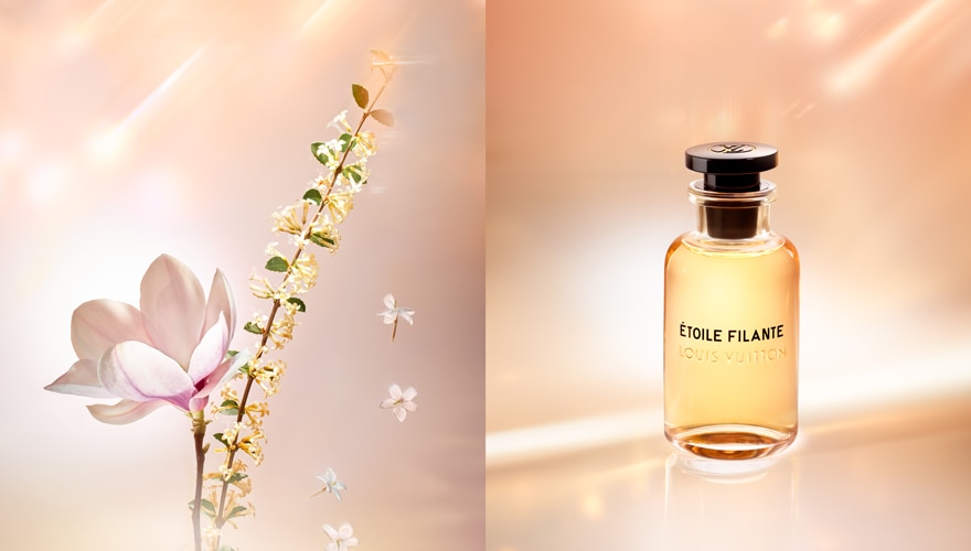 ȥ롦ե ɥѥե 륤ȥ LOUIS VUITTON   ȥޥ ̤ ʬ ץ쥼 