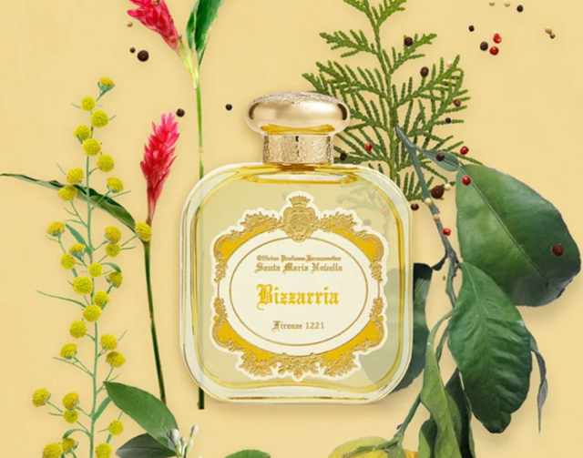 ӥåꥢ ɥѥե 󥿡ޥꥢΥå顡 ȥޥ    ͵ ߥ  Santa Maria Novella