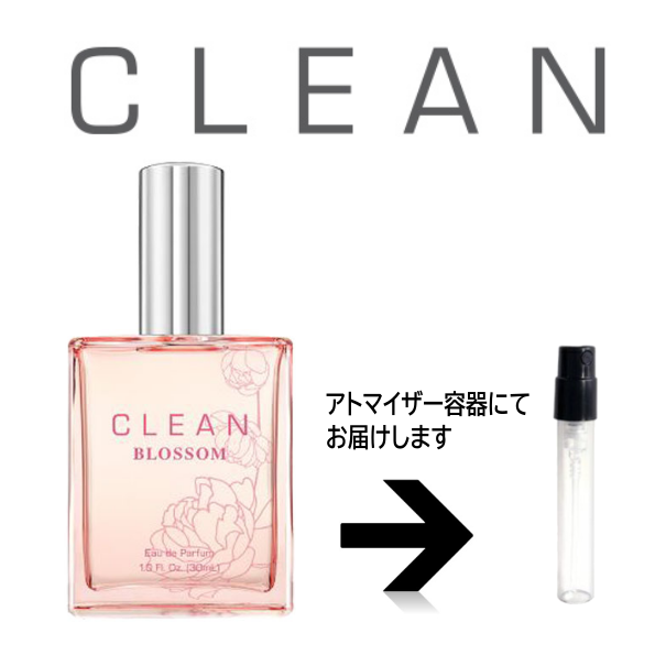 ֥å ɥѥեࡡCLEAN ꡼󡡡ȥޥ