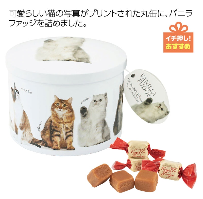 ガーディナーズ　 キャット缶　バニラファッジ