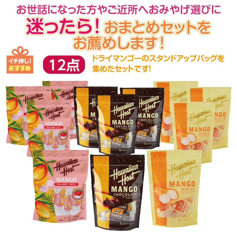 ★迷ったら！おまとめセットをお薦め★ドライマンゴー スタンドアップバッグセット12点