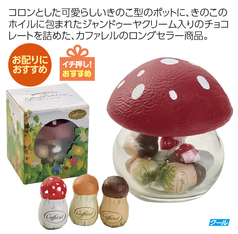 【数量限定！50％オフセール！】カファレル きのこポット
