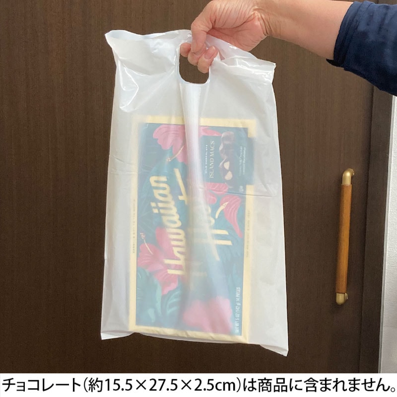 おみやげ袋(1枚)