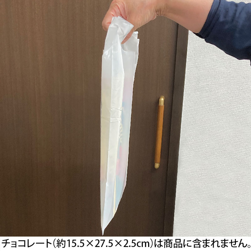 おみやげ袋(1枚)