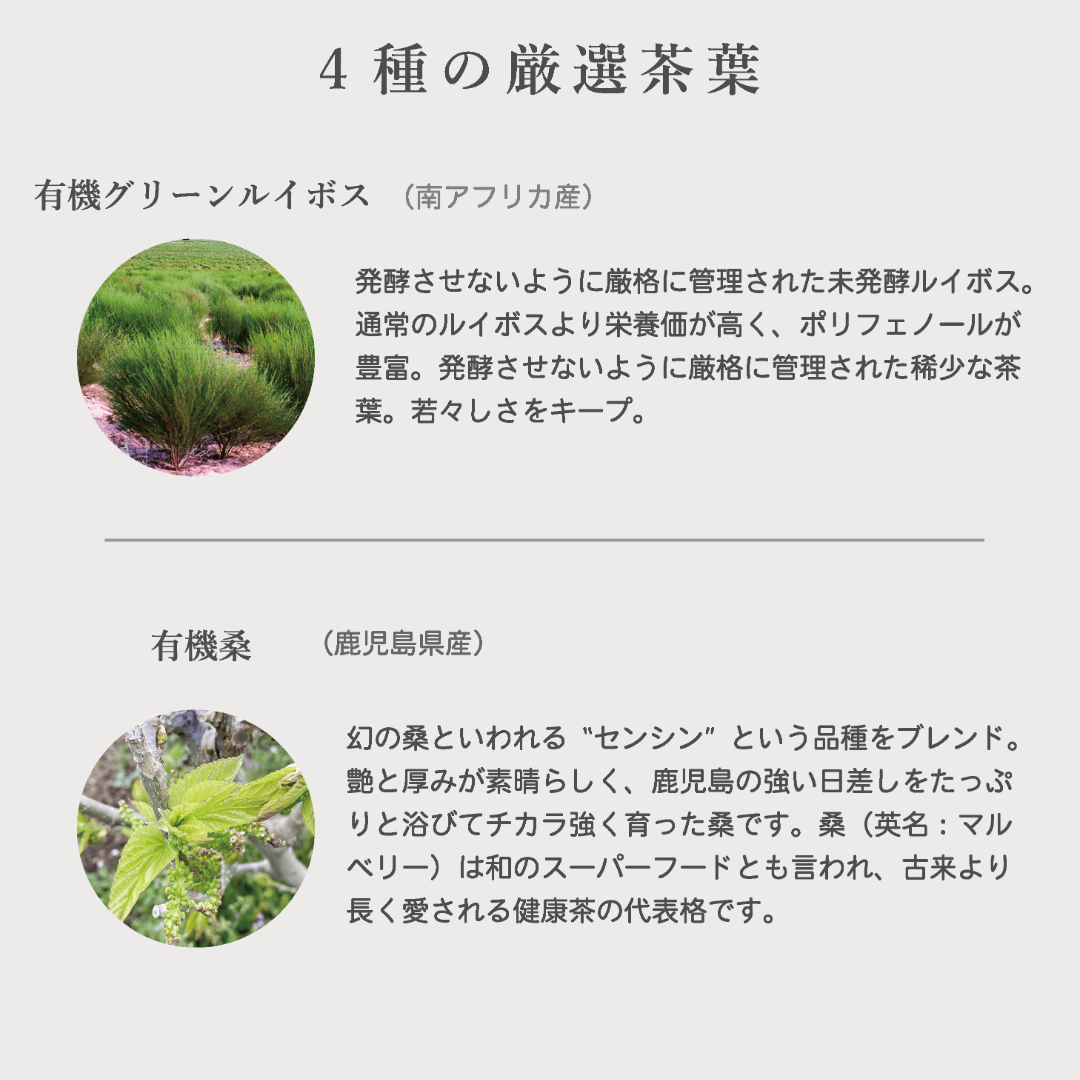 【定期毎月】BIOS　オーガニックブレンドティー