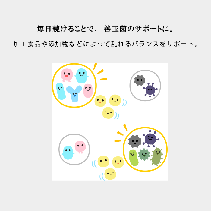 【定期】BIOS　植物発酵エキスドリンク　2本