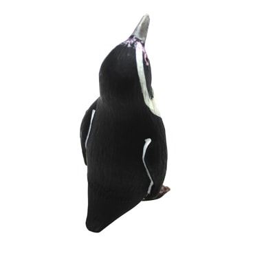 ペンギン コガタペンギン 20 | HANSA