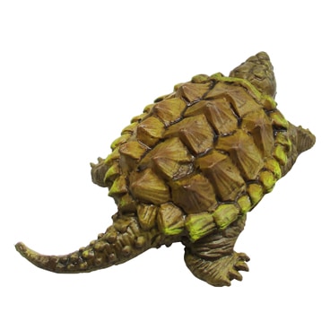Miniatureplanet ゴールデンワニガメ | ミニチュアプラネット