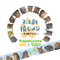 �ޥ����󥰥ơ��ס��ͥ��ʥץ��