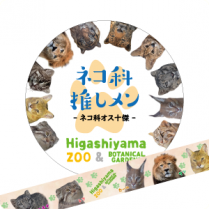 �ޥ����󥰥ơ��ס��ͥ��ʥ�������