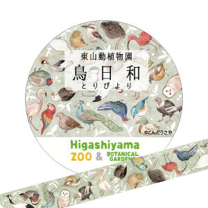 �ޥ����󥰥ơ��ס�Ļ����