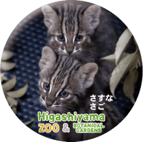 ZOO BADGE-067������&�����ʡʥĥ��ޥ�ޥͥ���