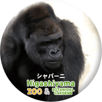 ZOO BADGE-004������С��ˡʥ˥�������