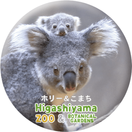 ZOO BADGE-035 ホリー&こまち（コアラ） | 東山動植物園の公式グッズを